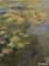 Kalendář 2021 - Monet 48 x 64 Kalendář 2021 - Monet 48 x 64