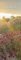 Kalendář 2021 Gardens 34 x 98