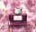 Ink bottle GvFC Yozakura 75ml Ink bottle GvFC Yozakura 75ml