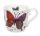 Animals Butterfly white - hrnek