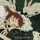 LP Aina The End - My Collection Of Anime Songs (Clear vinyl) LP Aina The End - My Collection Of Anime Songs (Clear vinyl)