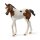 Zvířátko - Hříbě paint horse Zvířátko - Hříbě paint horse