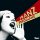 CD+2VD Franz Ferdinand - You Could Have It So Much Better CD+2VD Franz Ferdinand - You Could Have It So Much Better