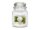 Yankee Candle svíčka - Camellia Blossom 35601