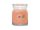 YANKEE CANDLE Tropical Breeze svíčka 368g / 2 knoty (Signature střední) YANKEE CANDLE Tropical Breeze svíčka 368g / 2 knoty (Signature střední)