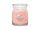 YANKEE CANDLE Watercolour Skies svíčka 368g / 2 knoty (Signature střední) YANKEE CANDLE Watercolour Skies svíčka 368g / 2 knoty (Signature střední)