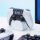 Budík Playstation 5 Budík Playstation 5