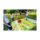 Jump and Talk: Outdoor Game (new) Jump and Talk: Outdoor Game (new)