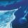 2LP Austin Wintory - Sword Of The Sea