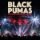 2LP Black Pumas - Live from Brooklyn Paramount