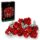 LEGO® Icons Kytice růží. 10328 LEGO® Icons Kytice růží. 10328