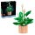 LEGO® Botanicals 11504 Lopatkovec LEGO® Botanicals 11504 Lopatkovec