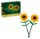 LEGO® Botanicals 40524 Slunečnice LEGO® Botanicals 40524 Slunečnice