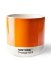 Pantone Hrnek Cortado - Orange 021 Pantone Hrnek Cortado - Orange 021