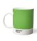PANTONE Hrnek - Green 3539c