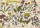 Puzzle Herbarium Léčivé byliny 500 dílků Puzzle Herbarium Léčivé byliny 500 dílků