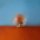 2 LP Cara Alessia - In The Meantime 2 LP Cara Alessia - In The Meantime