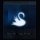 LP Mazzy Star - Among My Swan