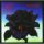 Thin Lizzy: Black Rose: A Rock Legend - LP Thin Lizzy: Black Rose: A Rock Legend - LP
