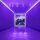 CD FALL OUT BOY - MANIA
