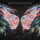 CD Gravity CD Gravity