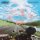 CD CHEMICAL BROTHERS, THE - NO GEOGRAPHY/MINTPACK CD CHEMICAL BROTHERS, THE - NO GEOGRAPHY/MINTPACK