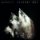 Genesis: Seconds Out - 2 LP Genesis: Seconds Out - 2 LP