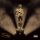 LP JID - DICAPRIO 2 LP JID - DICAPRIO 2