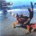 Prodigy: Fat Of The Land - LP Prodigy: Fat Of The Land - LP