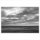 LP Tomahawk - Tonic Immobility LP Tomahawk - Tonic Immobility