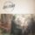 LP Alison Krauss & Union Station - Arcadia