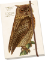 Notýsek Forest Animals Owl Notýsek Forest Animals Owl