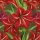 Papírový ubrousek Red Christmas Flowers Amaryllis Papírový ubrousek Red Christmas Flowers Amaryllis
