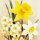 Papírový ubrousek Yellow Spring Flowers Daffodil