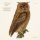 Papírový ubrousek Forest Animals Owl