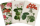 Sada tří notýsků Geranium Sada tří notýsků Geranium