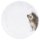Jídelní porcelánový talíř - Ježek Jídelní porcelánový talíř - Ježek