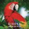 Divoká Amazonie - desková hra Divoká Amazonie - desková hra