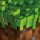 LP C418 - Minecraft - Volume Alpha LP C418 - Minecraft - Volume Alpha
