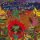 CD ZAPPA FRANK - THE LOST EPISODES