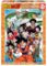 Puzzle Dragon Ball Z 1000 dílků Puzzle Dragon Ball Z 1000 dílků