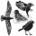TCW šablona 15,24 x 15,24 cm - Bird gathering, mini TCW šablona 15,24 x 15,24 cm - Bird gathering, mini