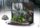 Jurský park Toyllectible Treasures Diorama - Blue (Noble collection)