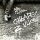 CD Chlapec z ulice