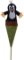 Krtek kornout 55cm Krtek kornout 55cm