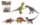 Dinosaurus plast 15-18 cm/5 ks Dinosaurus plast 15-18 cm/5 ks