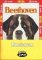 Beethoven - 3 DVD pack Beethoven - 3 DVD pack
