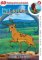 Lví král Simba 08 - DVD pošeta Lví král Simba 08 - DVD pošeta