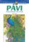 Pávi – omalovánky pro velké Pávi – omalovánky pro velké