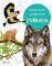 Vybarvování podle čísel: Zvířata Vybarvování podle čísel: Zvířata